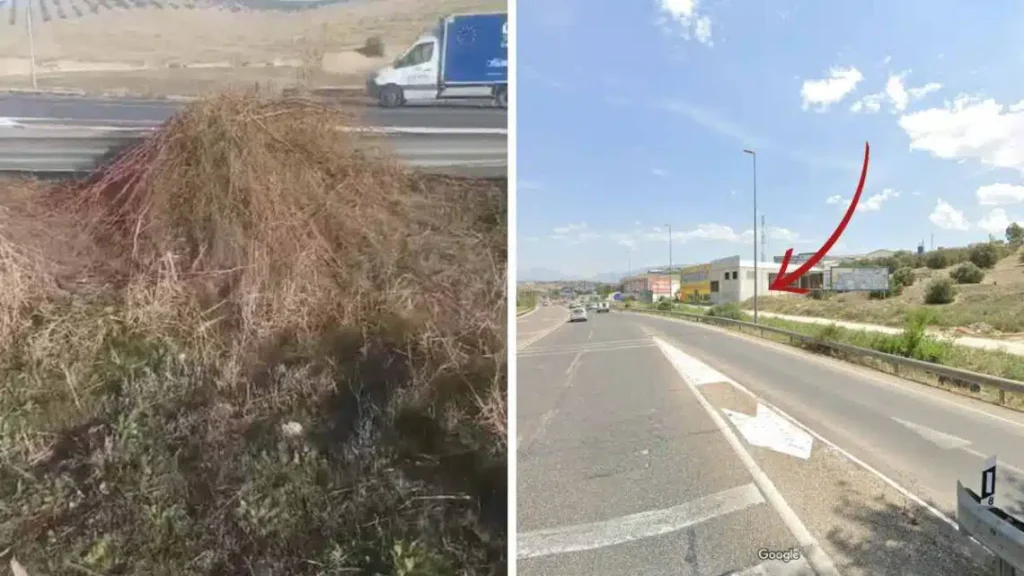 Caça à multa? Ainda não viu nada!