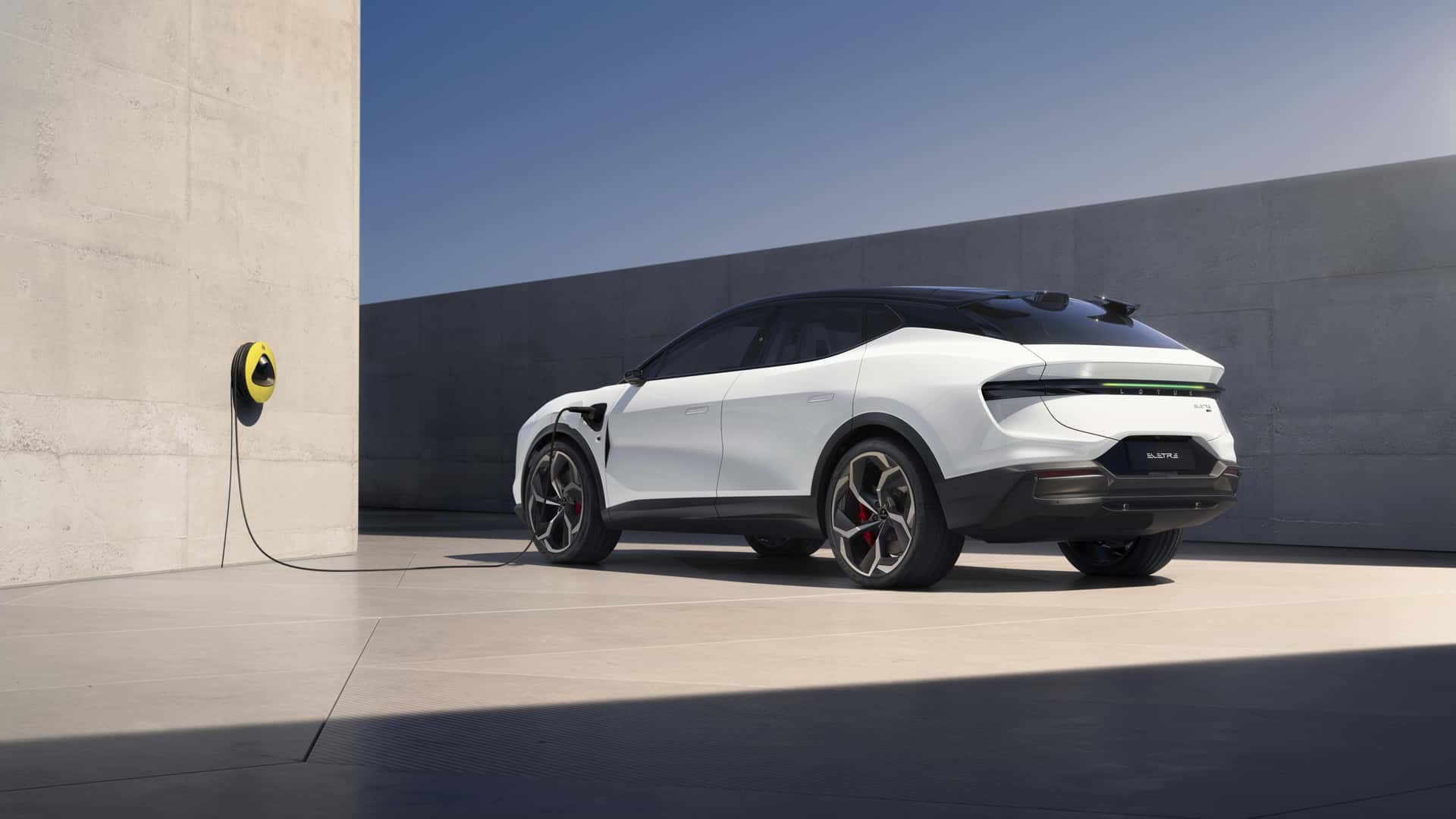 Lotus
