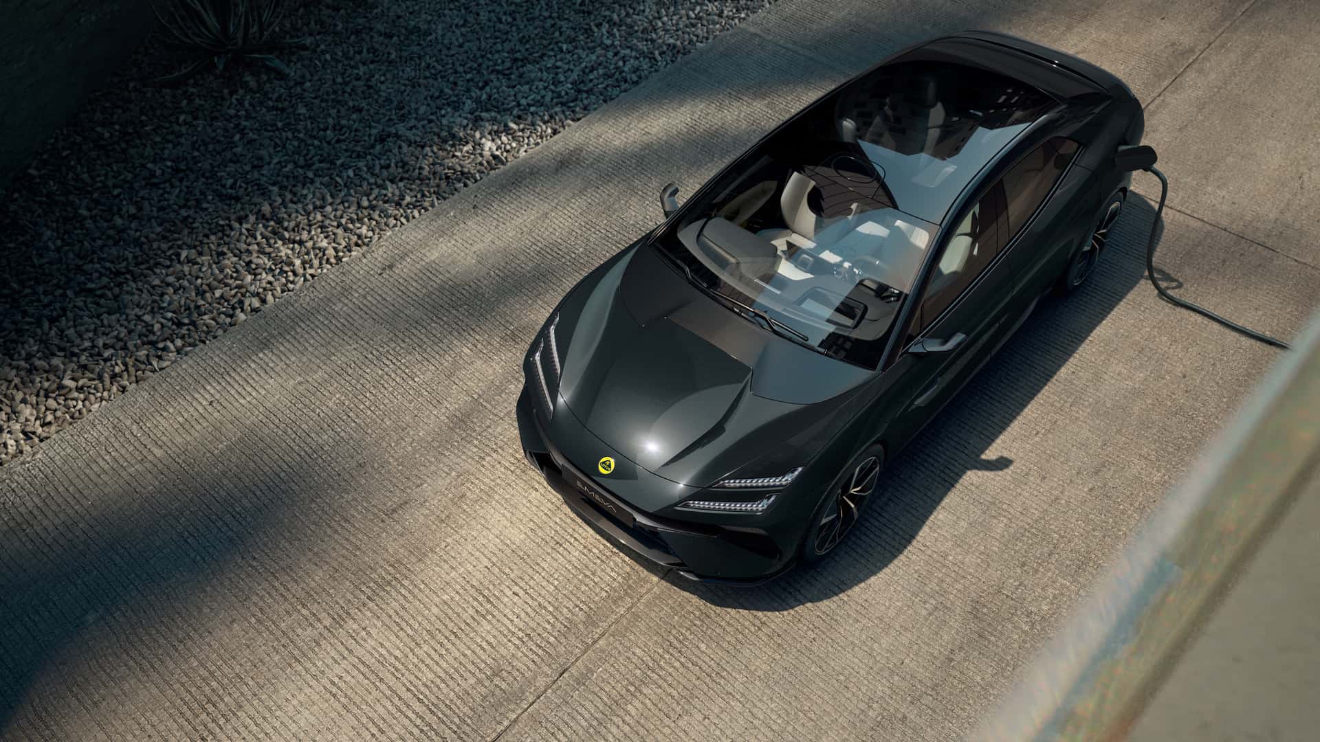 Lotus