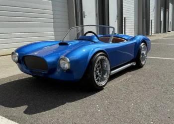 Cobra Shelby