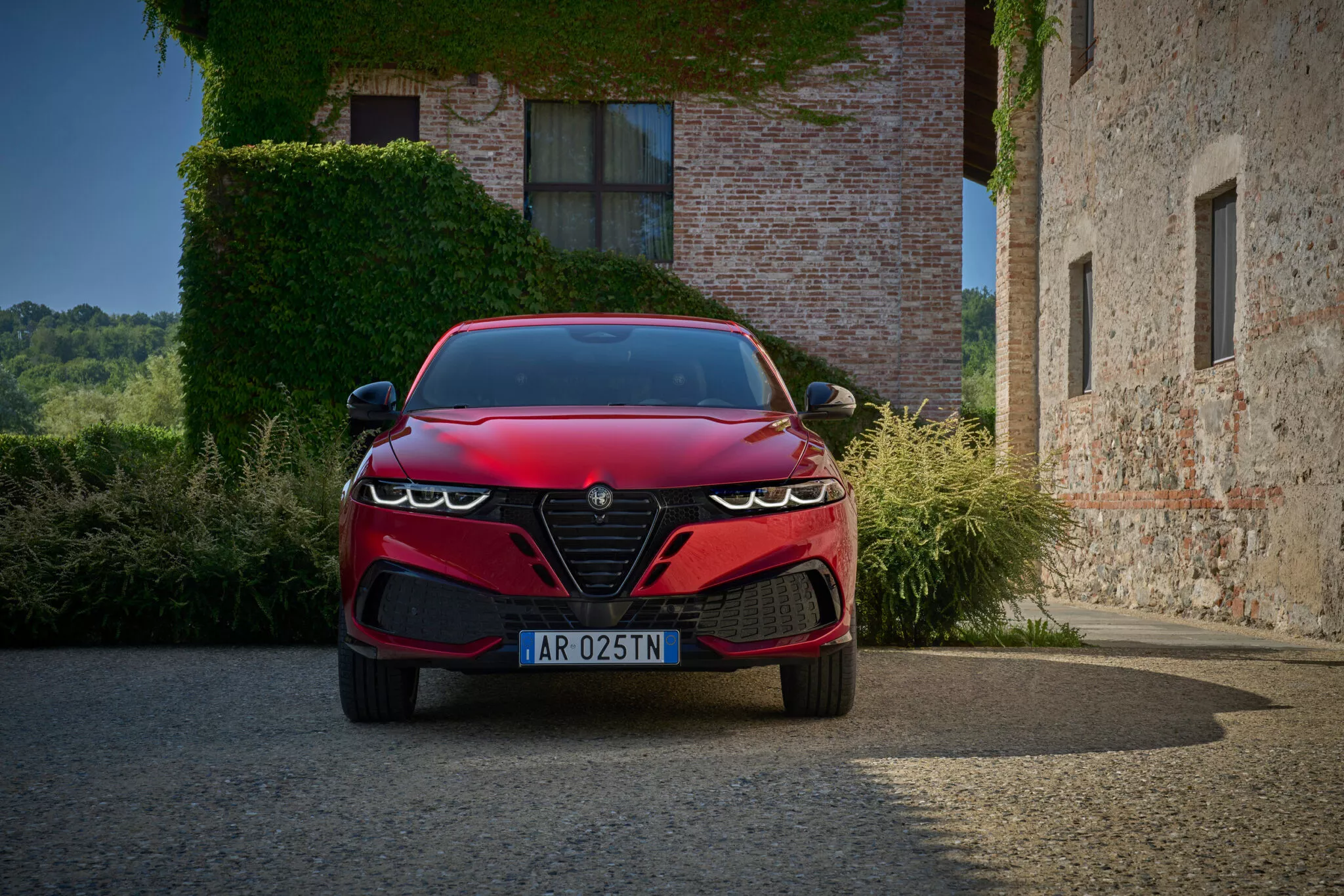 Alfa