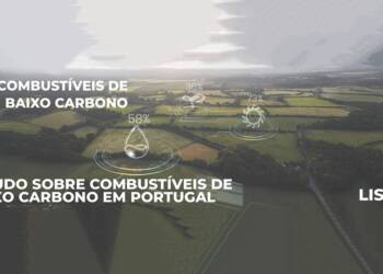 Estudos dos Combustíveis de Baixo Carbono já está disponível para consulta
