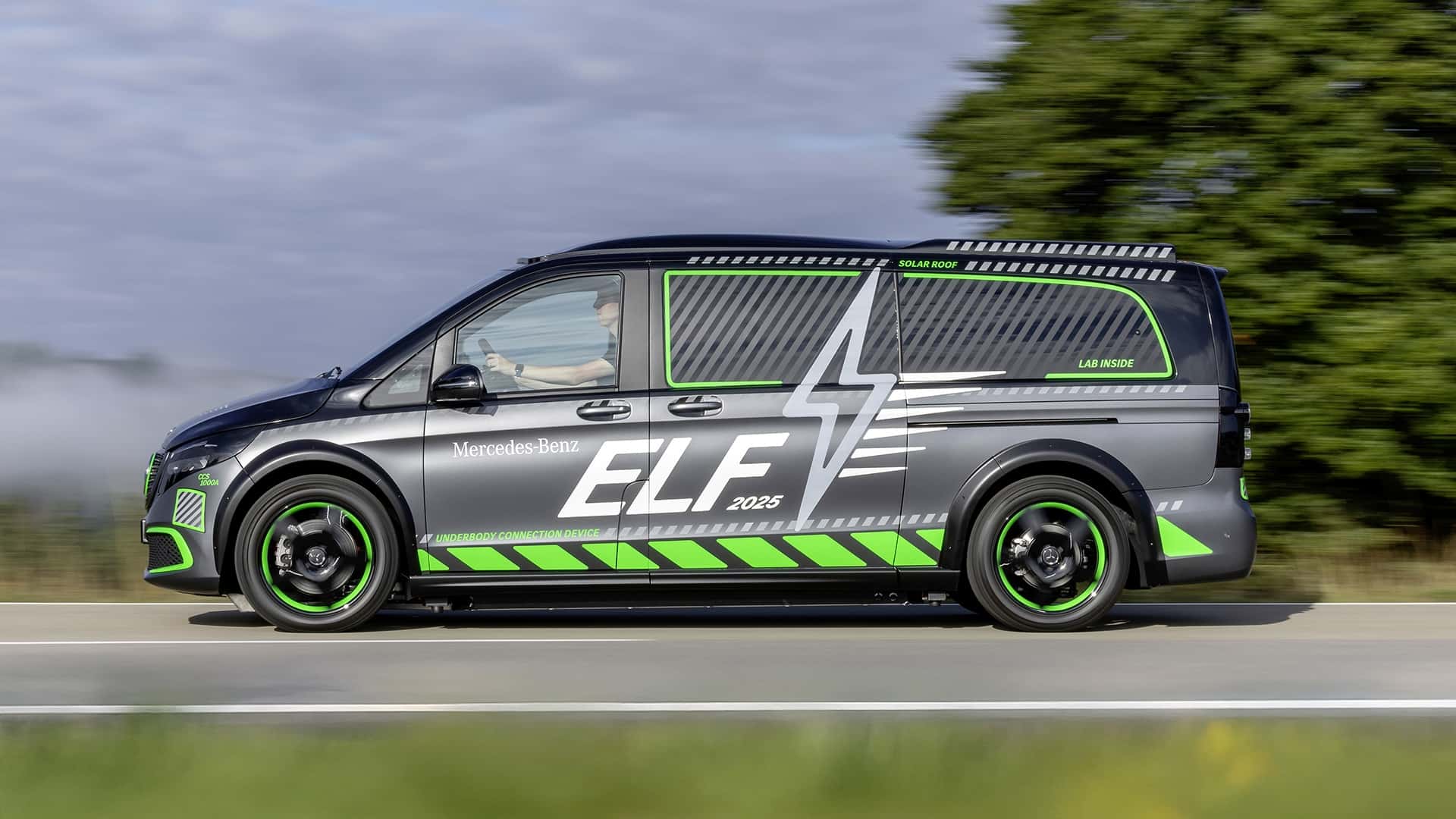 ELF