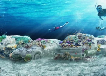 22 carros no fundo do mar vão dar nova vida aos corais