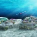 22 carros no fundo do mar vão dar nova vida aos corais