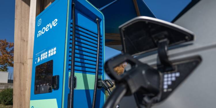 Moeve