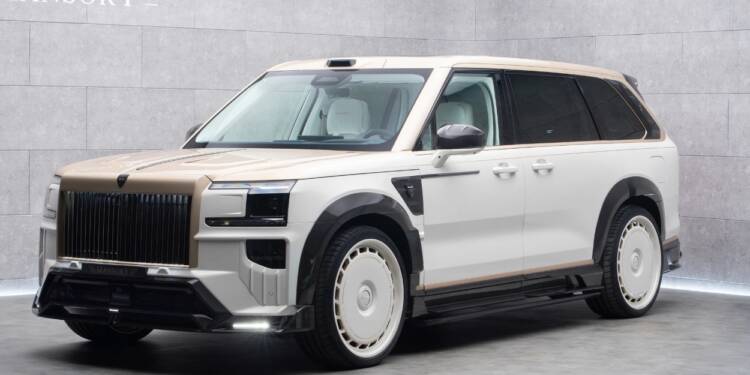 Mansory Zeekr 9X