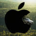 Apple china